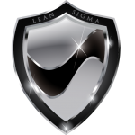 Lean Six Sigma Black Belt